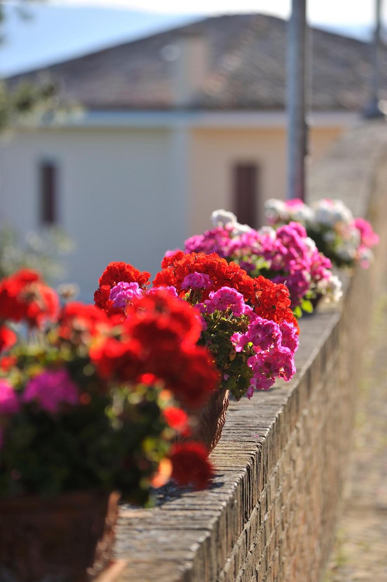 Albergo Diffuso Borgo Montemaggiore Montemaggiore al Metauro ภายนอก รูปภาพ